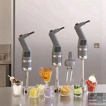 Mixer Plongeant CMP 250 Combi - Mixeur plongeant professionnel - Robot  Coupe